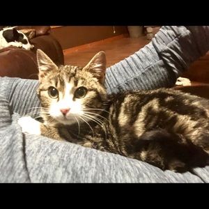 Meet your Posher, Kelsey